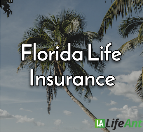 Florida Life Insurance Best Life Insurance Companies In Florida