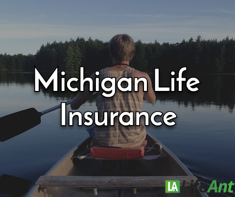 Michigan life insurance