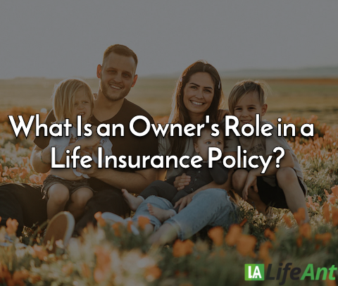 owner of life insurance policy