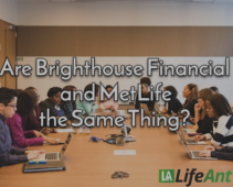 brighthouse metlife