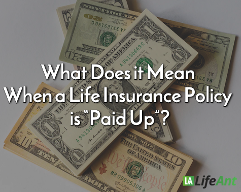 paid up life insurance