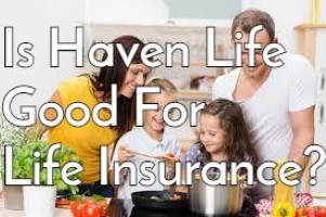 Haven Life Review