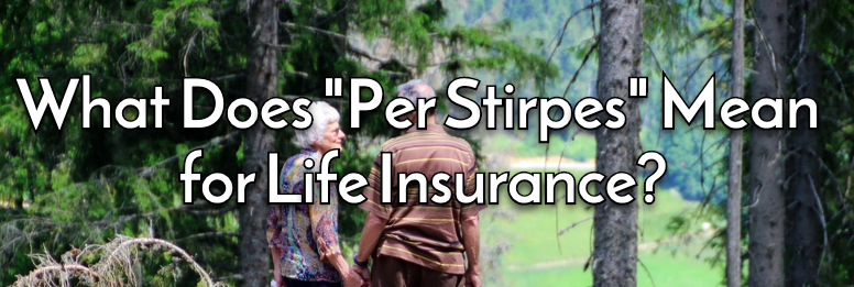 What Does Per Stirpes Mean for Life Insurance?