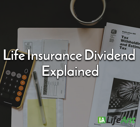 Life Insurance Dividend explained
