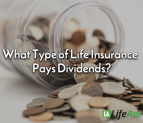 What Type of Life Insurance Pays Dividends?