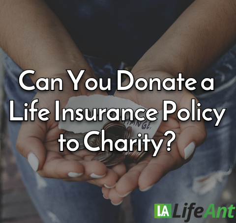 Can You Donate a Life Insurance Policy to Charity?