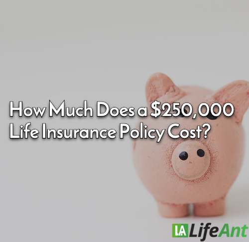 How Much Does a $250,000 Life Insurance Policy Cost?