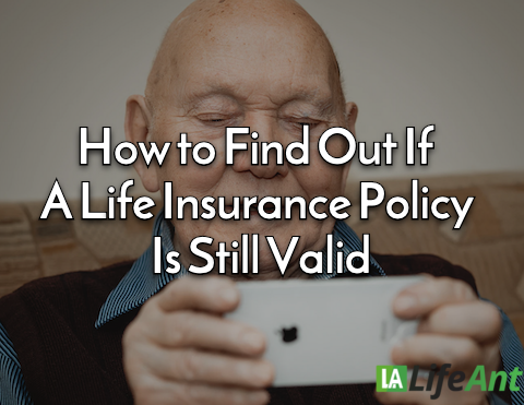 How to Find Out If A Life Insurance Policy Is Still Valid - Life Ant